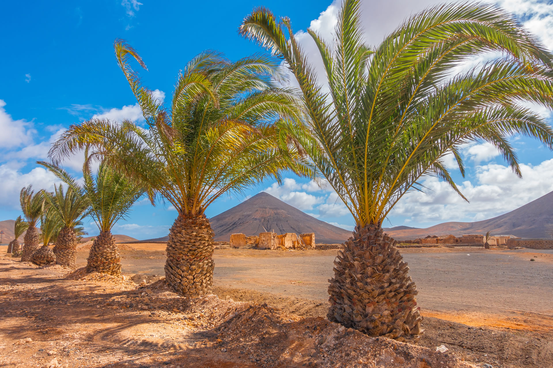 AdobeStock_1182511061