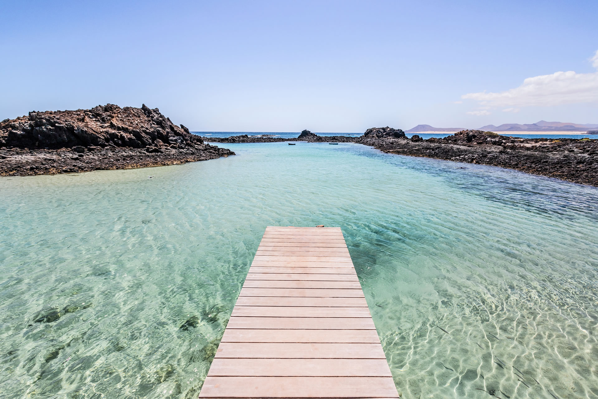 AdobeStock_501069100